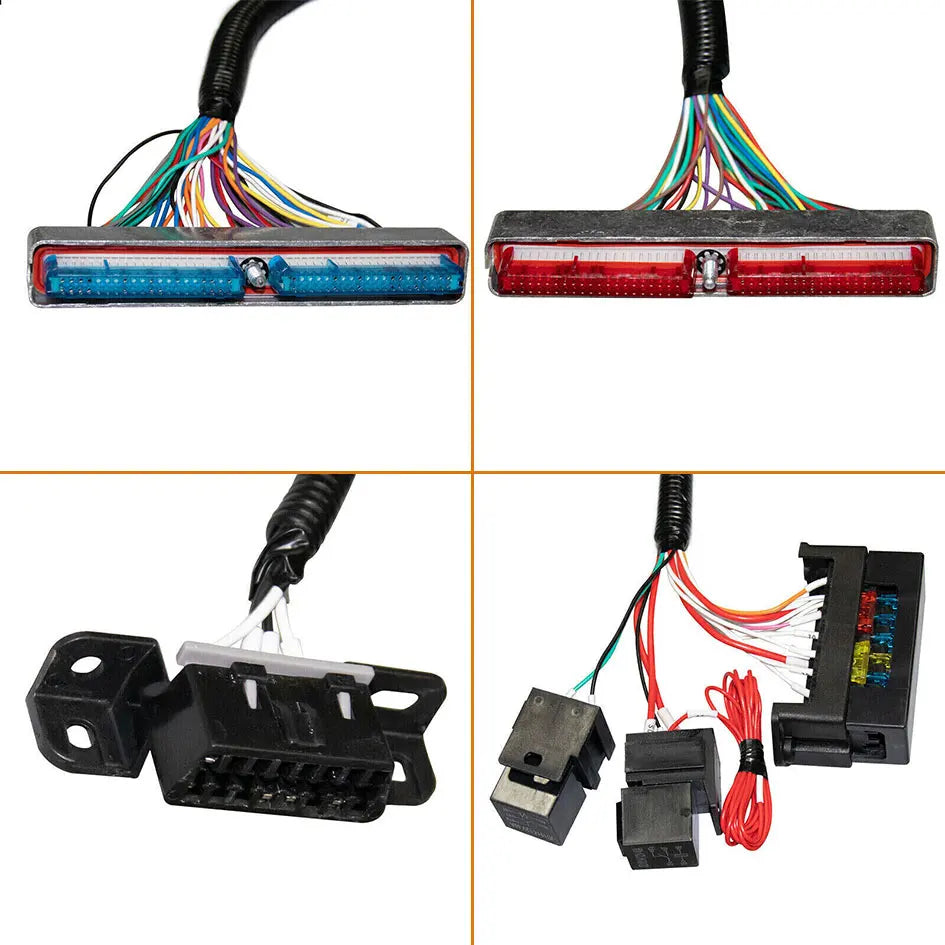 LS Standalone Engine and 4L60E DBC Wiring Harness with 8pcs EV1 to EV6 Injector Adapters for 1997-2006 GM LS1 Vortec Swap 4.8L 5.3L 6.0L